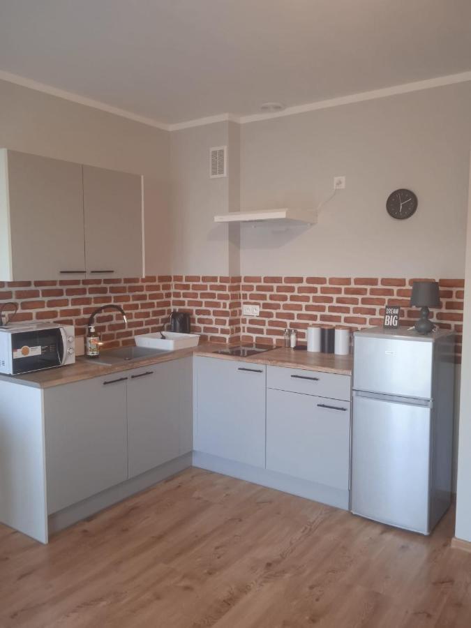 Przytulny Apartament W Sercu Karkonoszy Еленя-Гура Экстерьер фото
